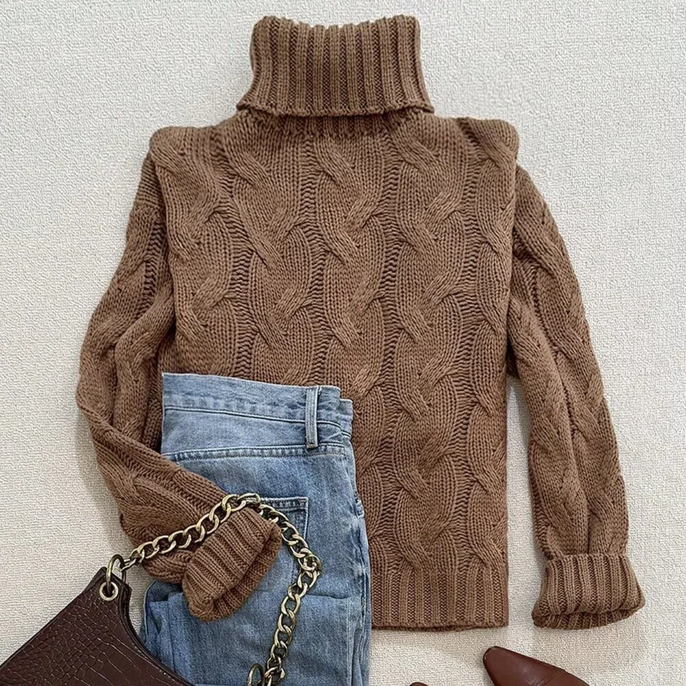 Brown Casual Women's Comfortable Twisted Rope Pattern Textured High neck sweater